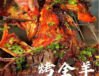 微信截图_20241216093052.jpg