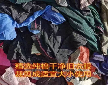 5a2f806b-fc21-4558-a9aa-995bd77c2d16.jpg