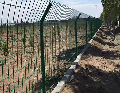 双边丝护栏网4.jpg
